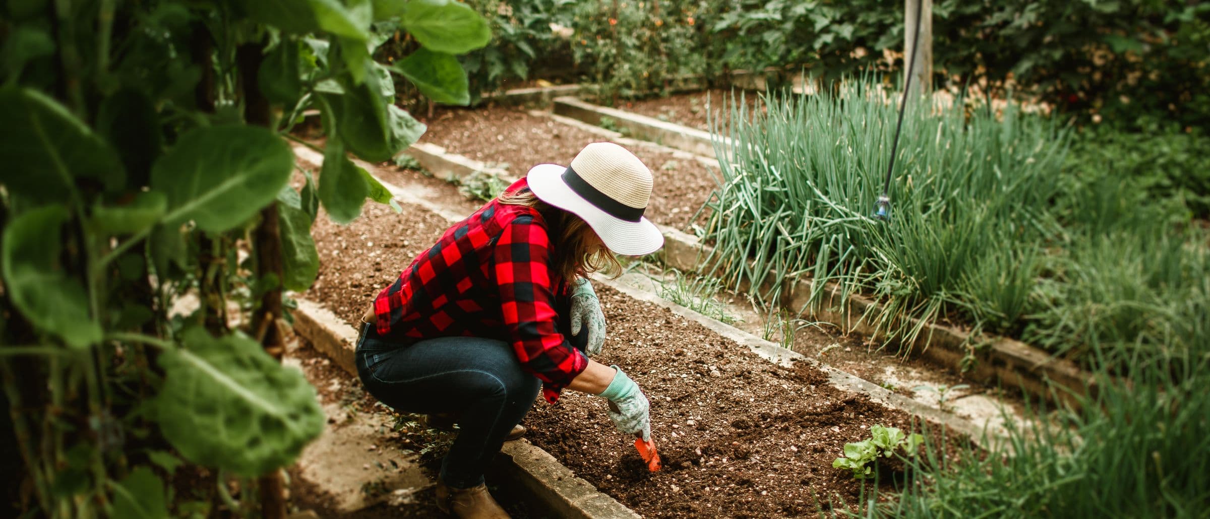Woman in a straw hat working the soil of a raised bed